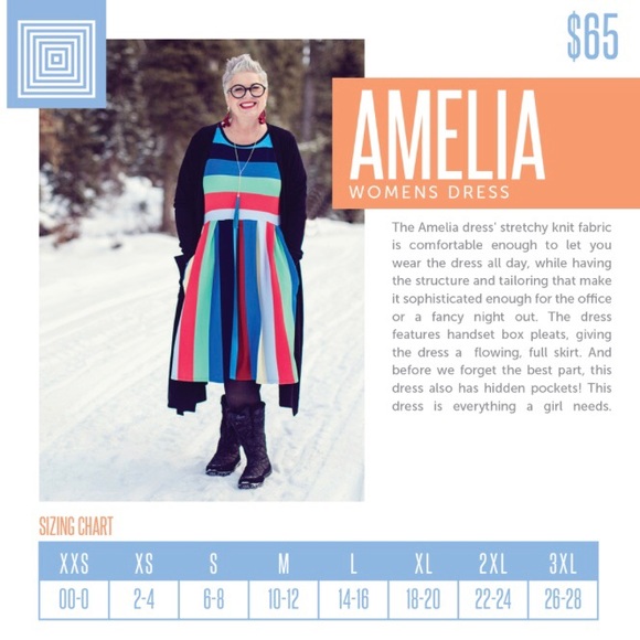 vintage LuLaRoe Amelia Dress Pockets Pleats Zipper - Picture 3 of 5